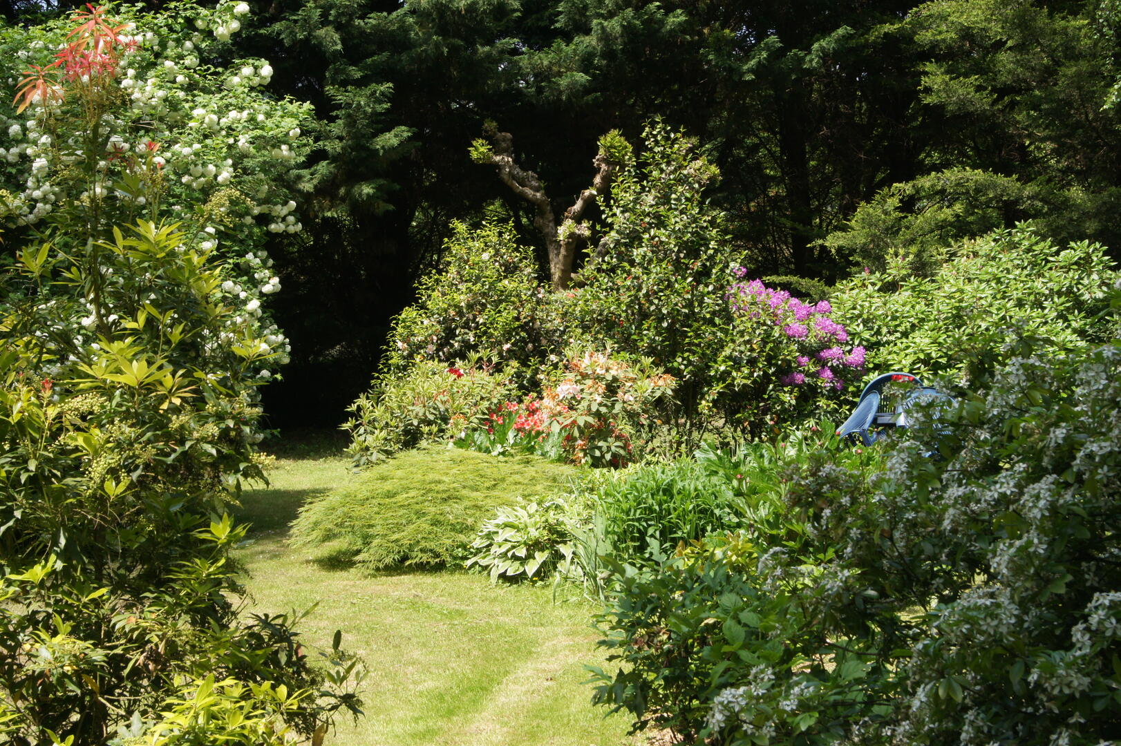 jardin paysagé