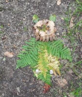 land'art