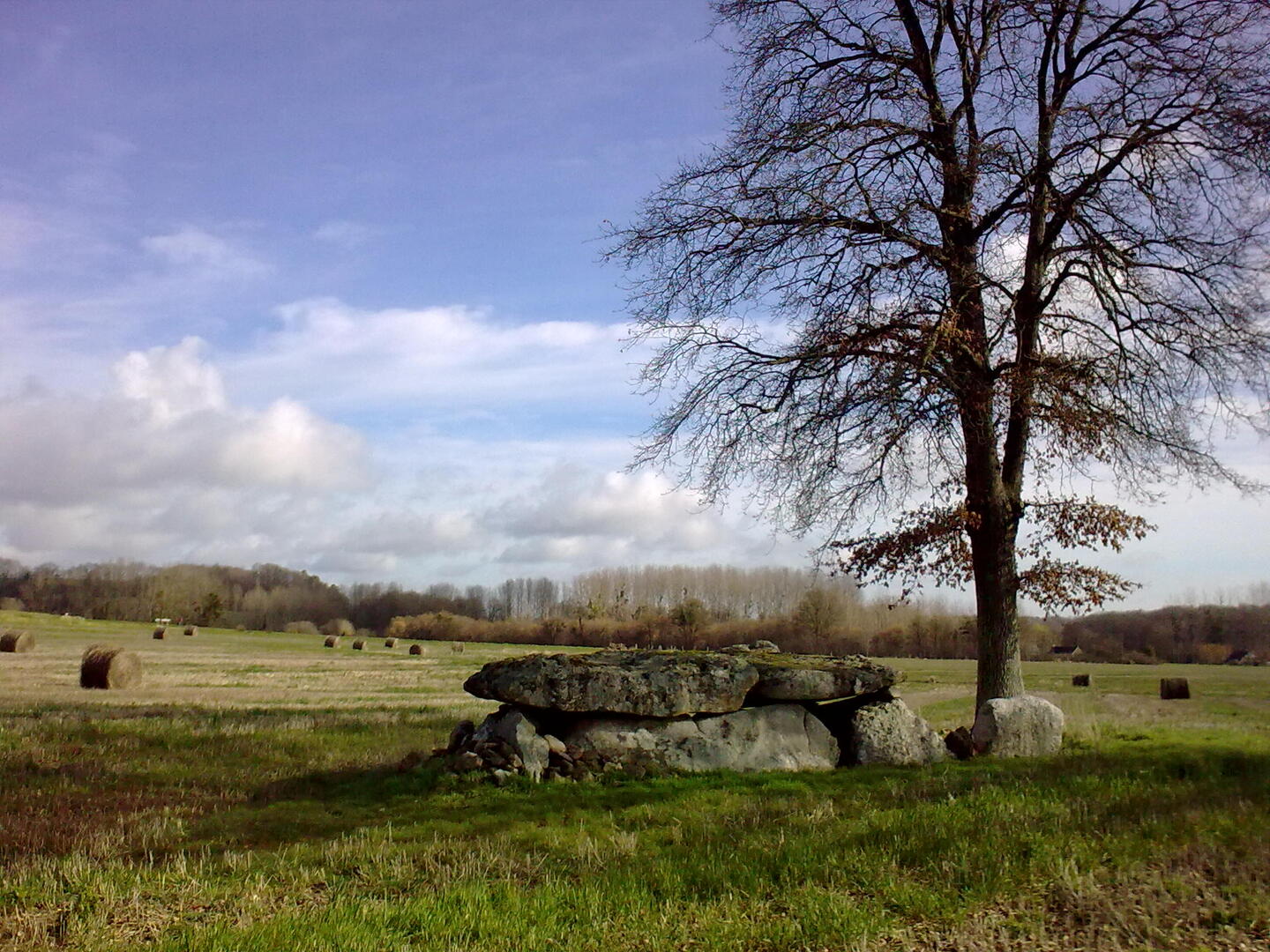le colombier1