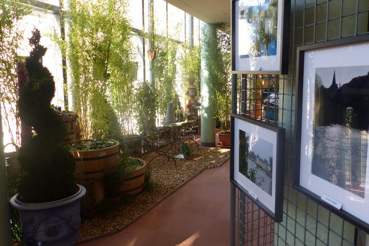 les_photos_sont_integrees_dans_un_decor_realise_par_le_service_municipal_des_espaces_verts__010715000_1727_02122016