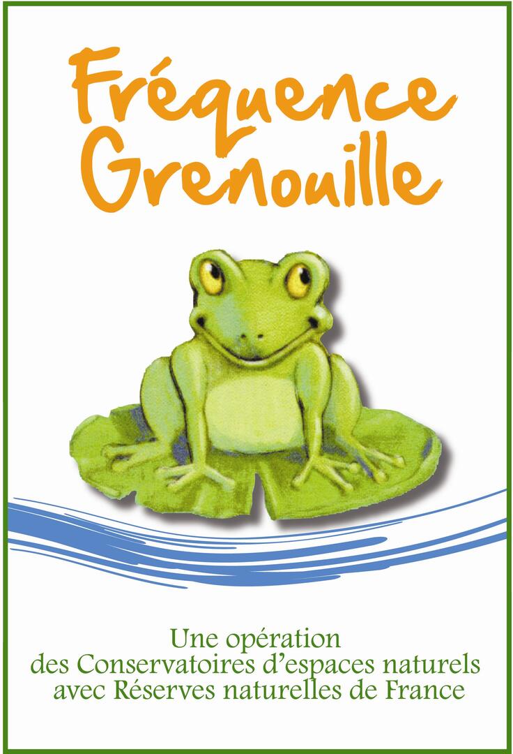 logo_frequence_grenouille_2013_hdef