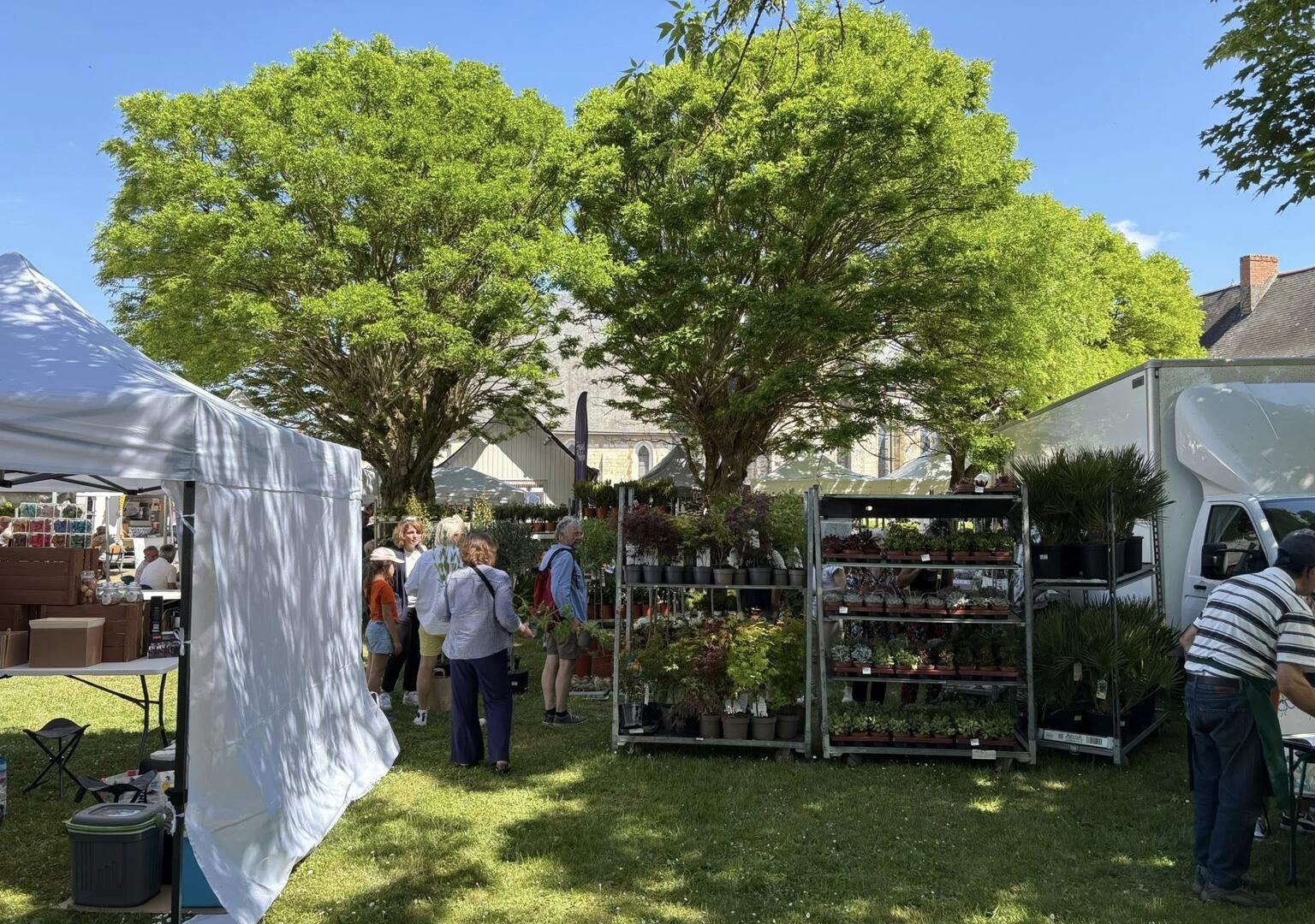 photo plantes marché 05