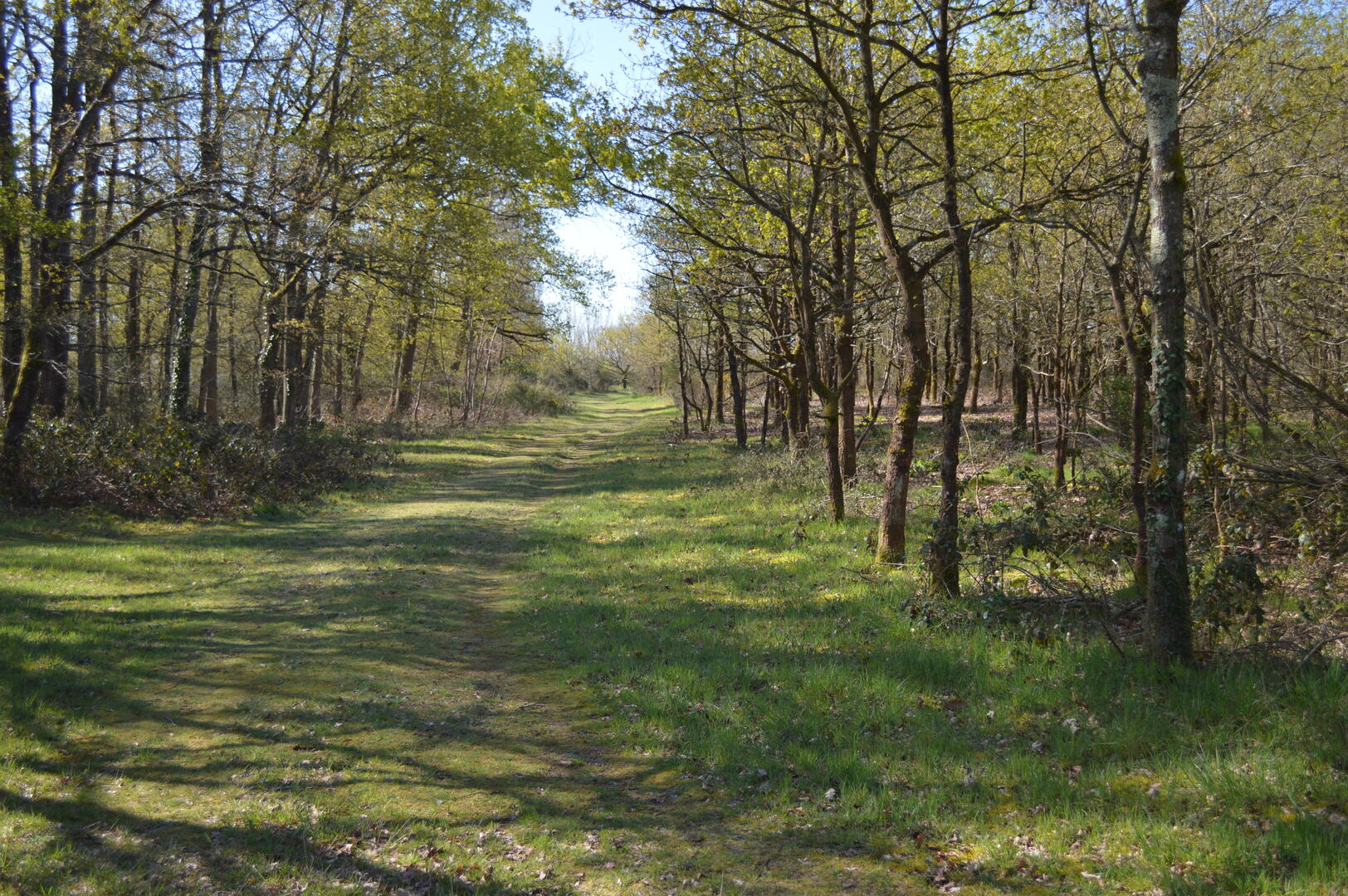 sentier site archéo aubigné racan