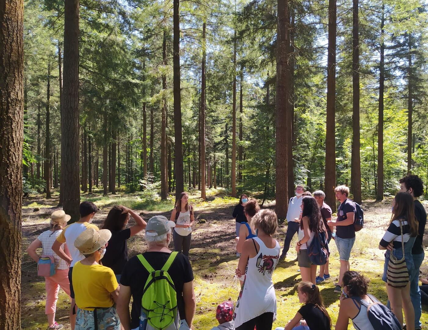sortie foret (6)