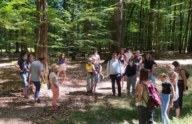 sortie foret
