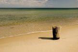 tn-743239-2242529-image_base4