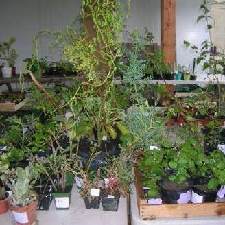 troc_plantes