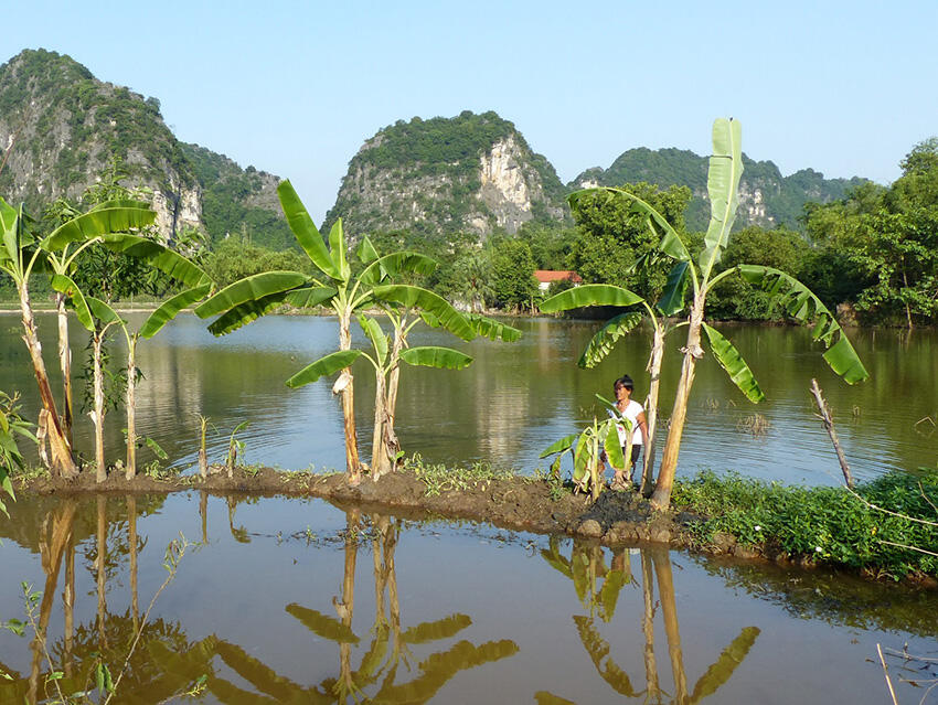 viet nam