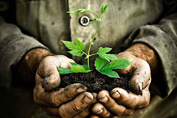 visuel L'homme qui...