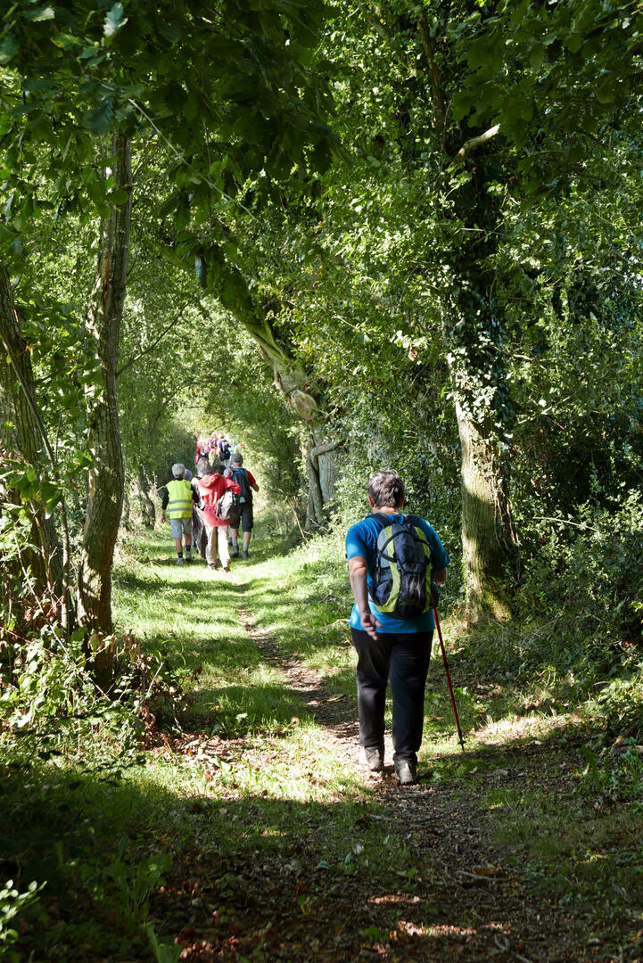 15000927_YP_St Laurent du Mott_0008