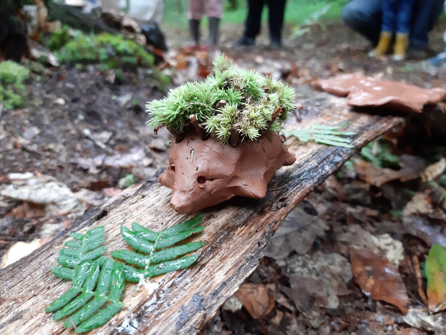 Land'art en forêt