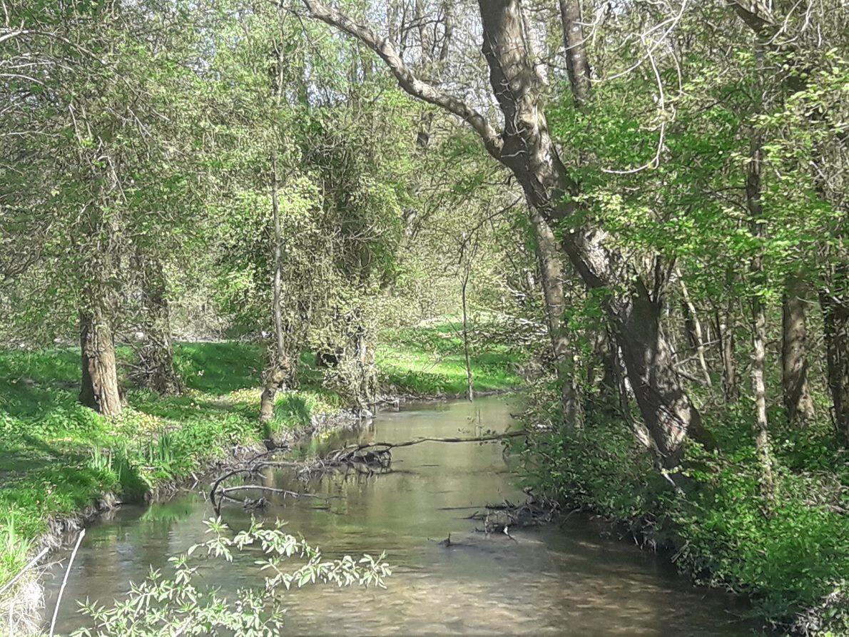 7 avril vallée du couasnon