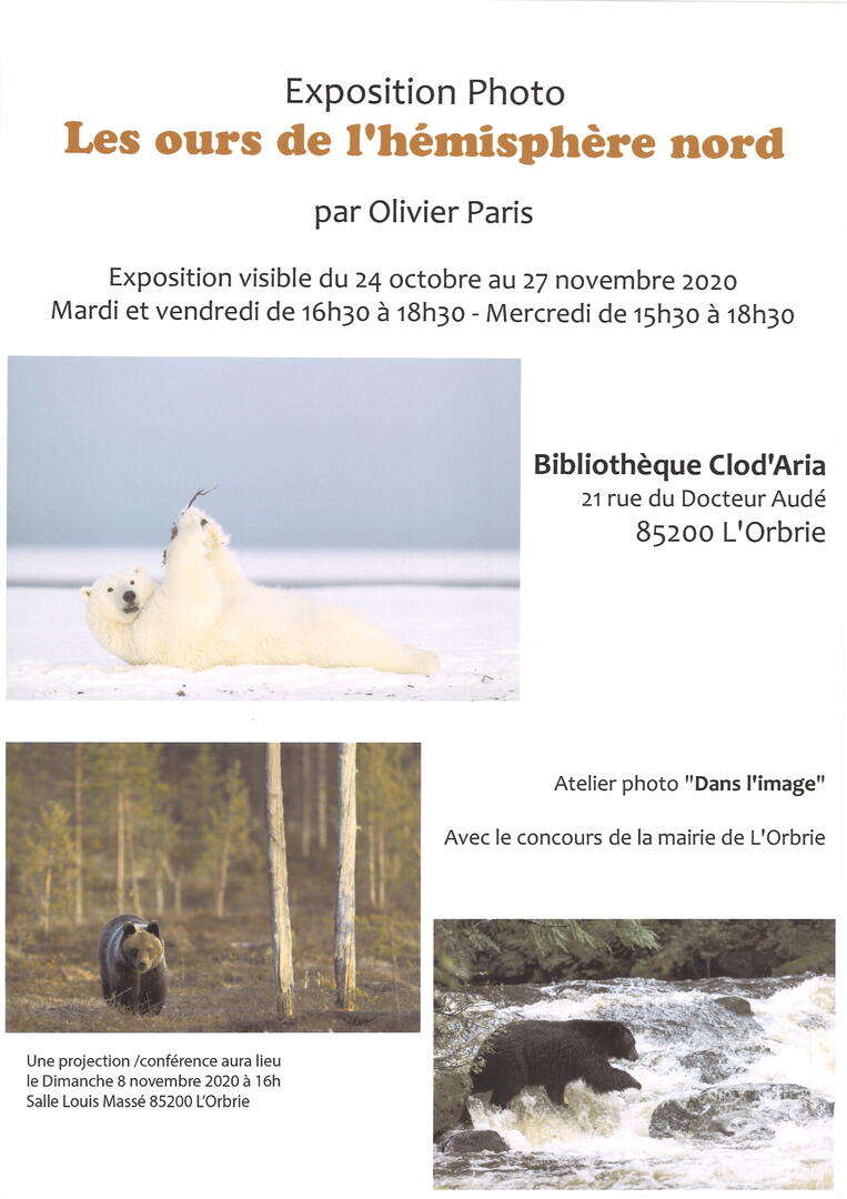 Expo photo ours l'orbrie