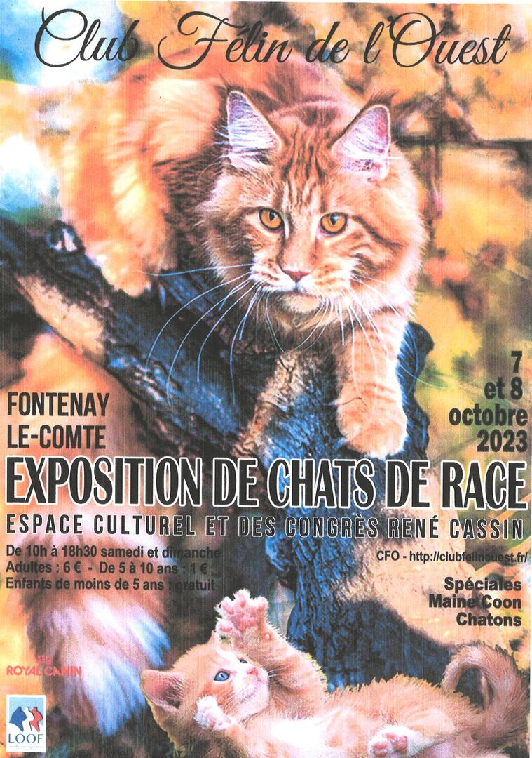 Exposition chats de race