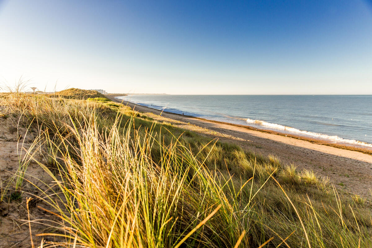 Entre Dunes et Forêt_©S. Bourcier