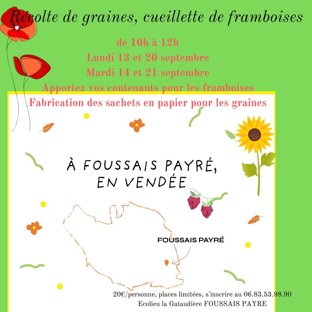 Graines Framboises Gataudiere