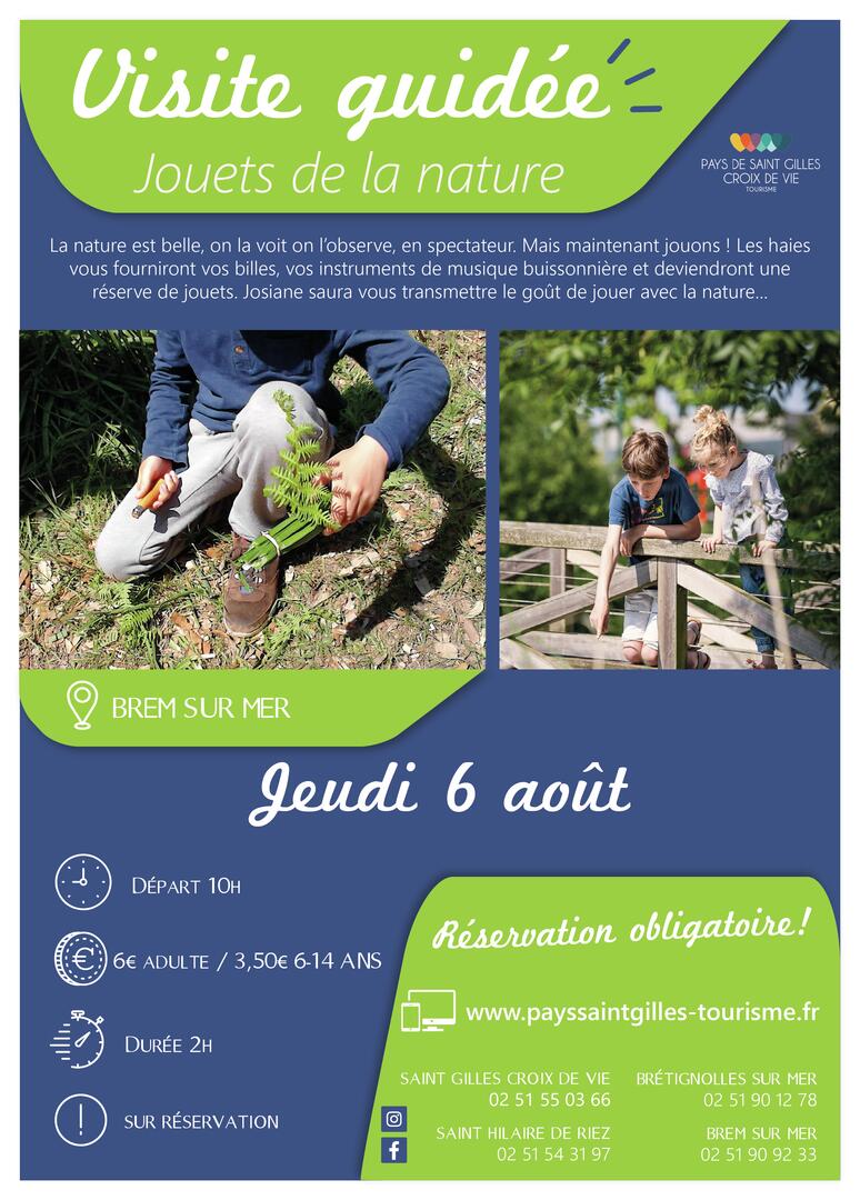 Modèle_affiche_VG2020