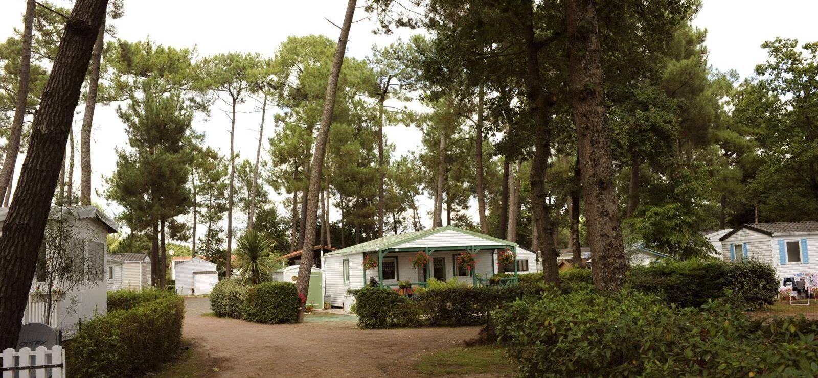 Domaine Orée des pins_Saint Hilaire de Riez