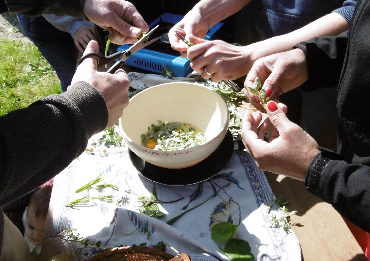 Plantes sauvages ADEV cuisine
