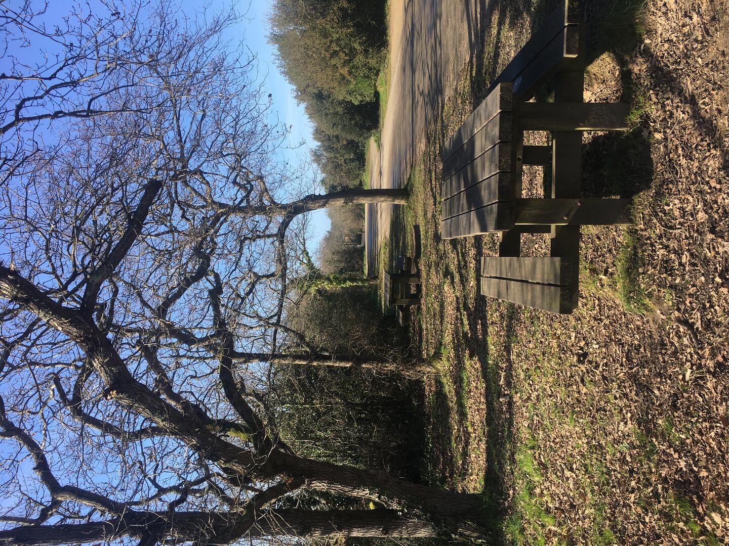 aire-pique-nique-parc-des-morinieres-2