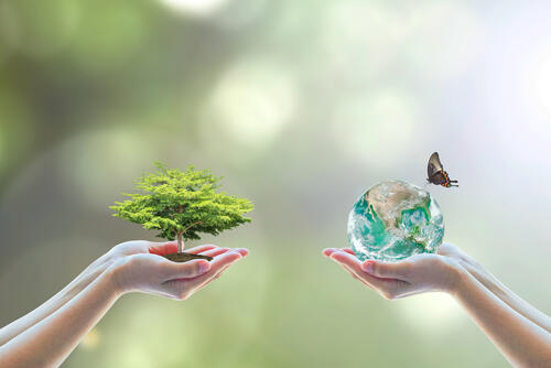 biodiversité et humanité