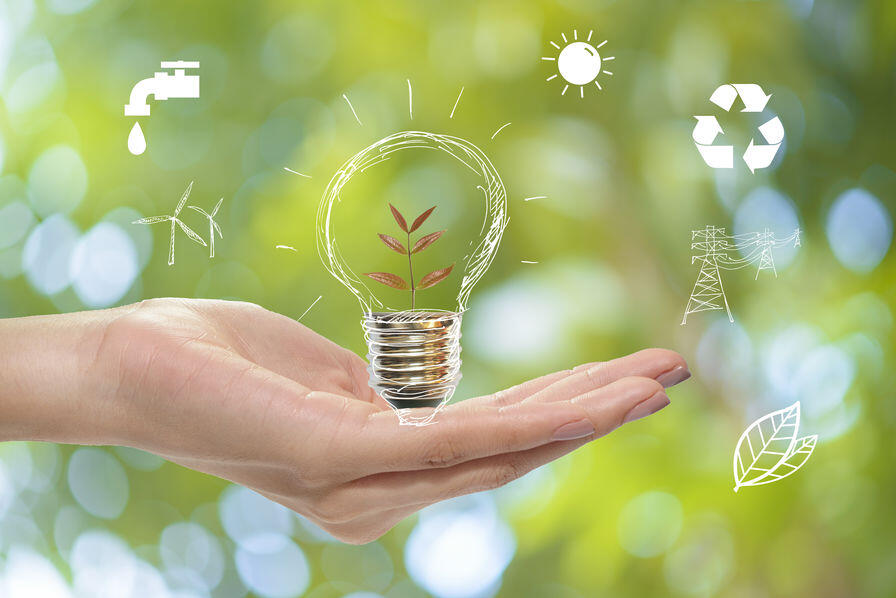 environnement