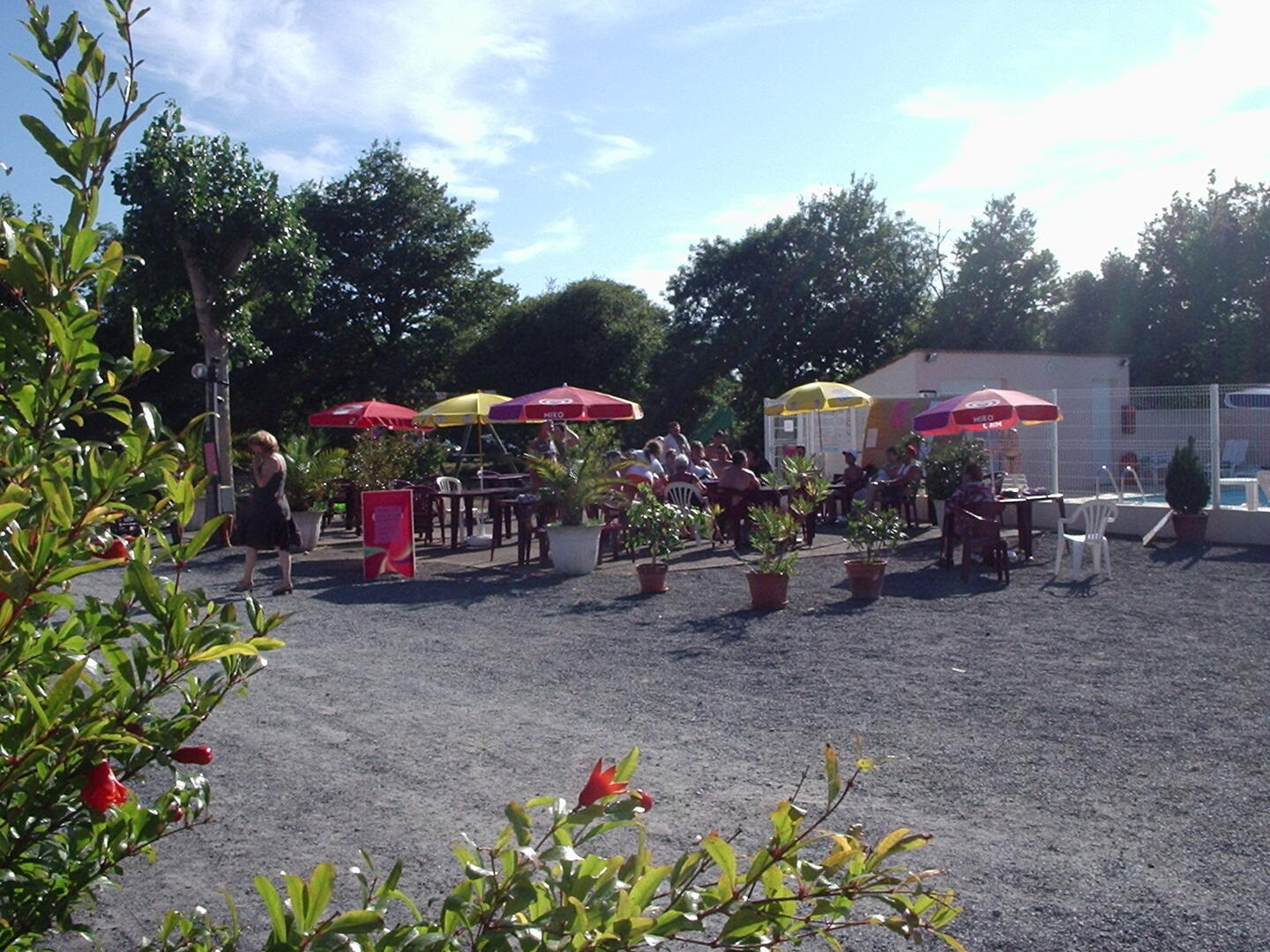 45997_campinglaviejpg