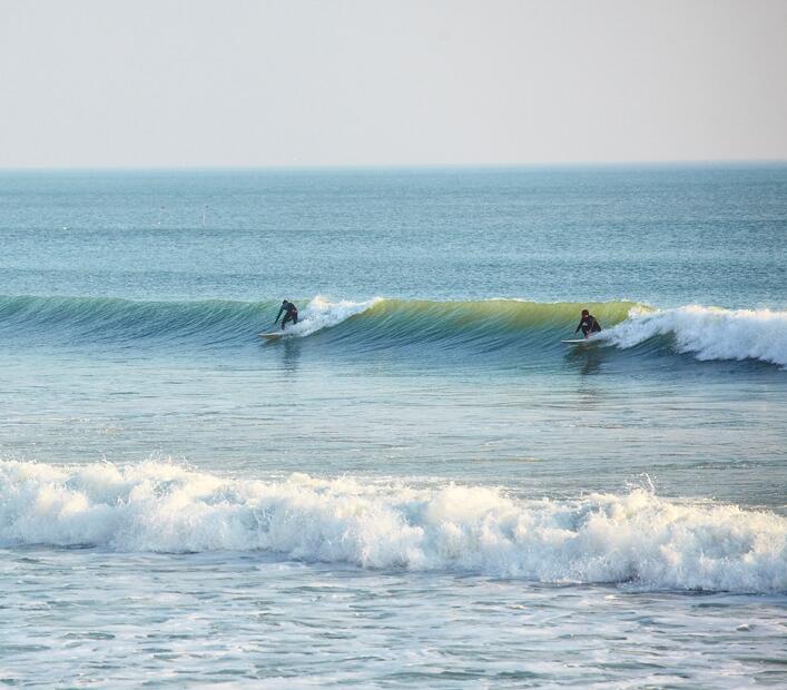 59648_surf
