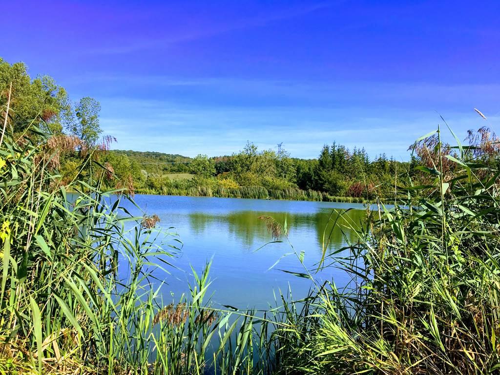 etang de gironval