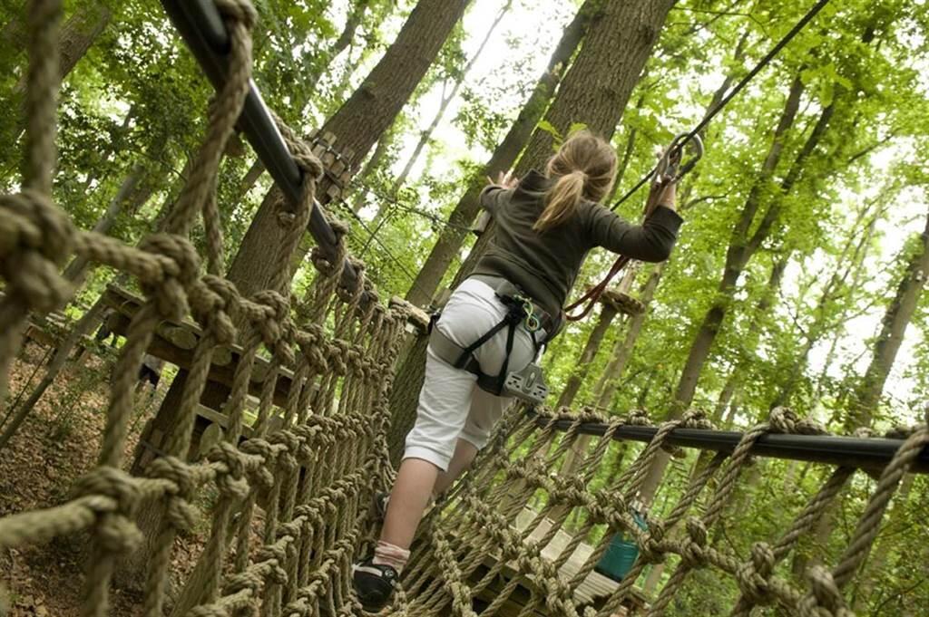 Parc aventure
