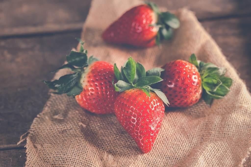 gaec saveurs et coccinelles