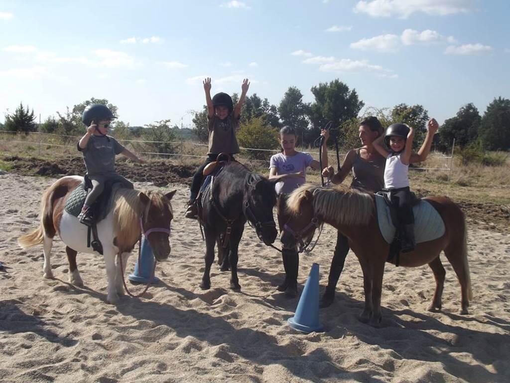 Stages d'équitation