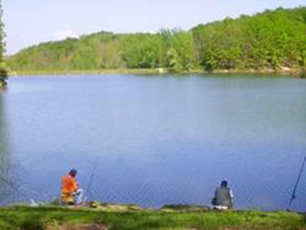 Pêche en Pays Lafrançaisain
