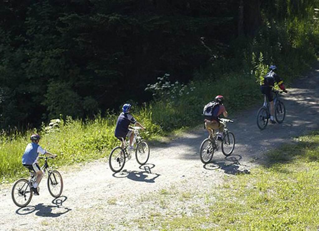 Cyclo et VTT en Pays de Questembert