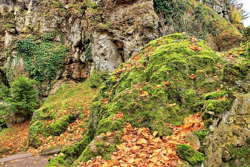 Nature