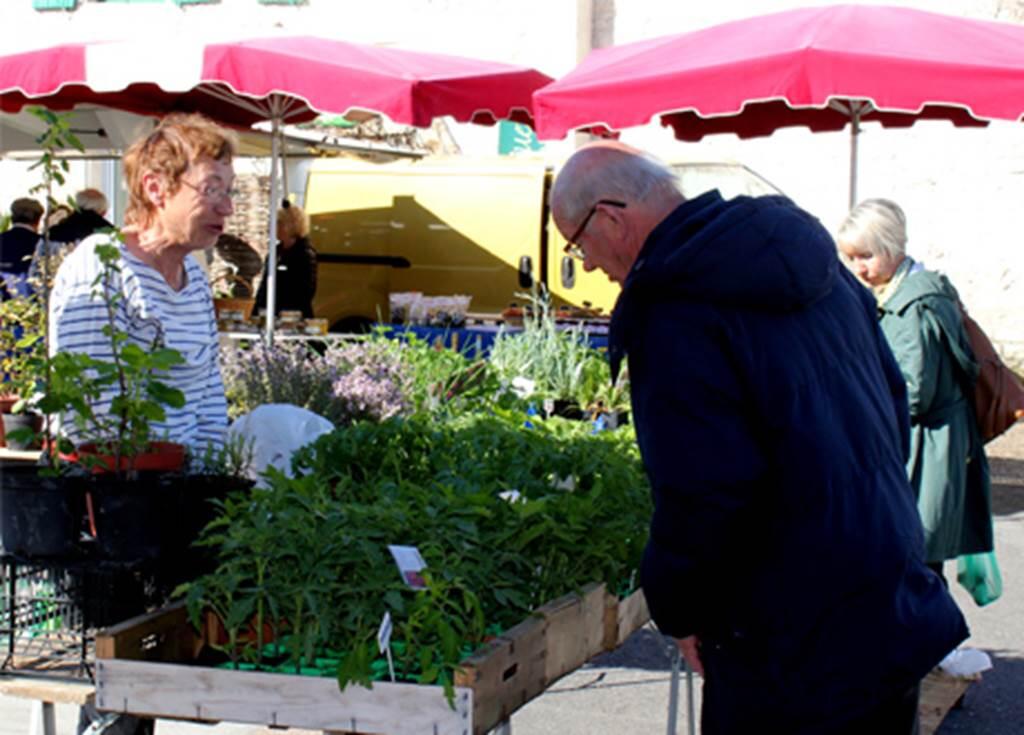 Marché de Roquecor