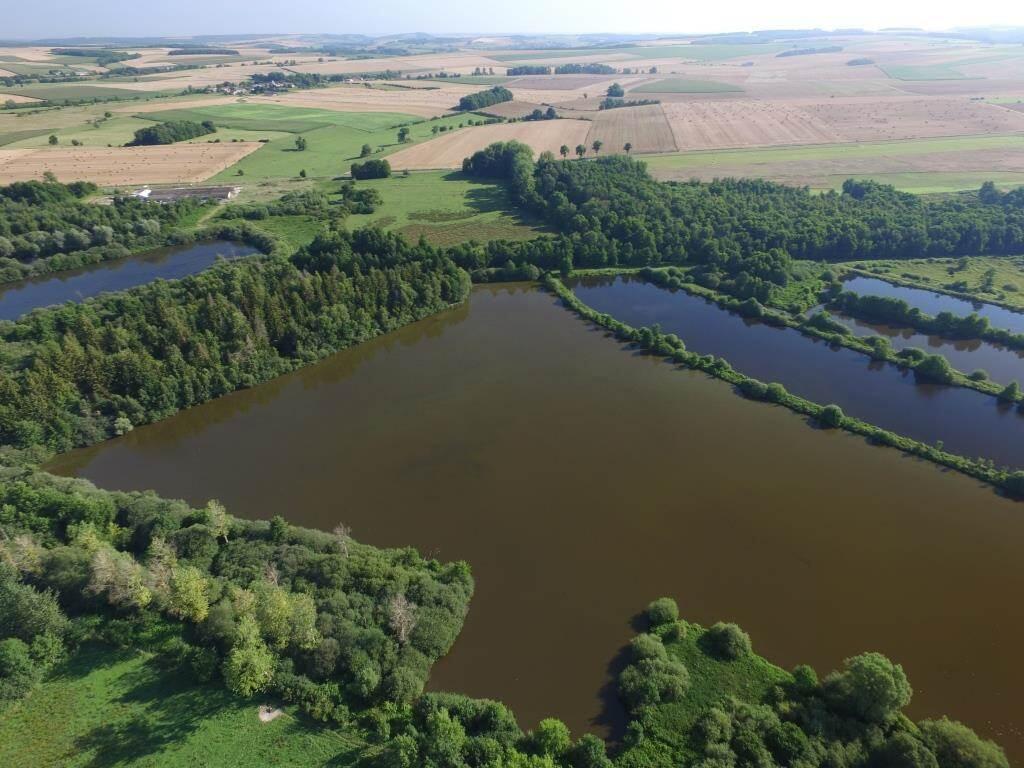 Chantier Nature Participatif sur les Tourbières des Sources de la Bar