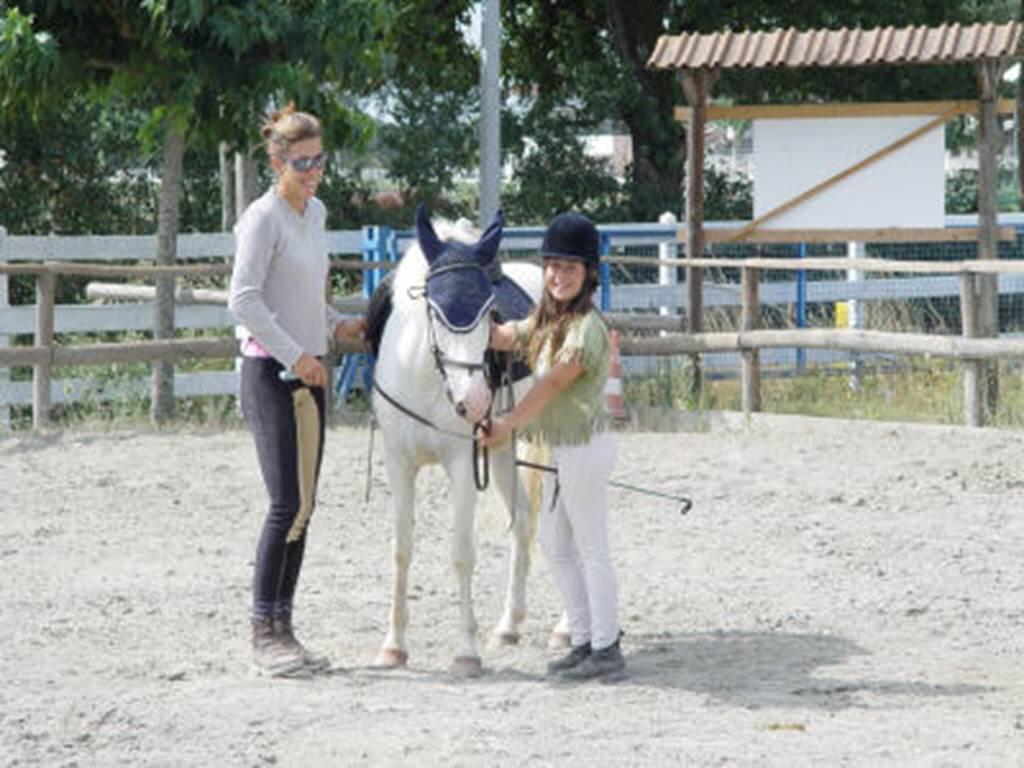 Pole equestre de montauban activites sportives centre equestres montauban