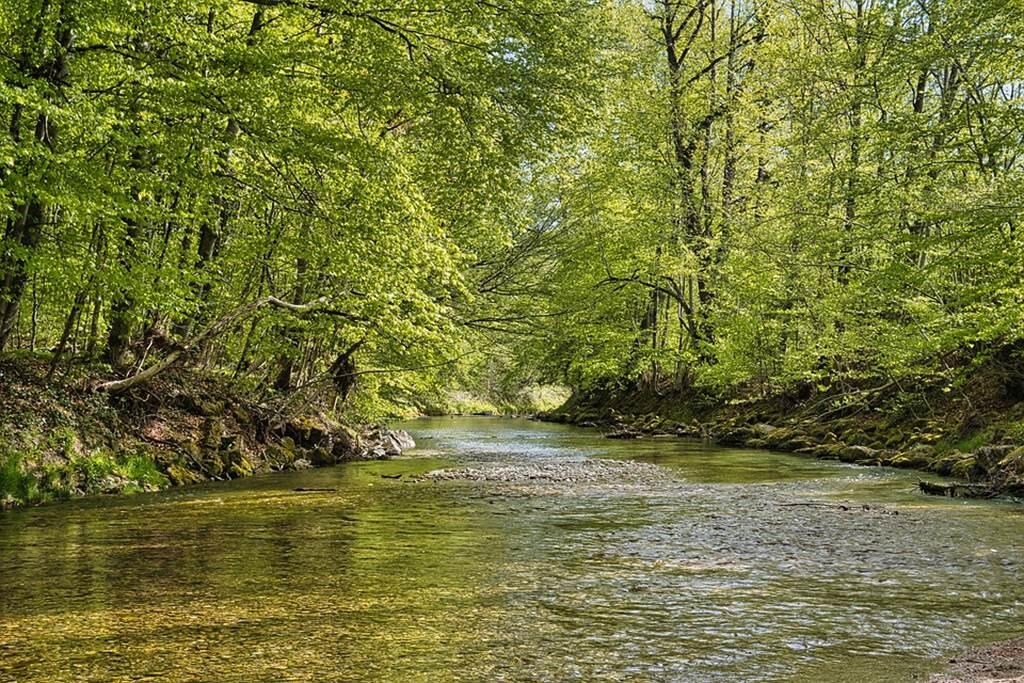 Rivière
