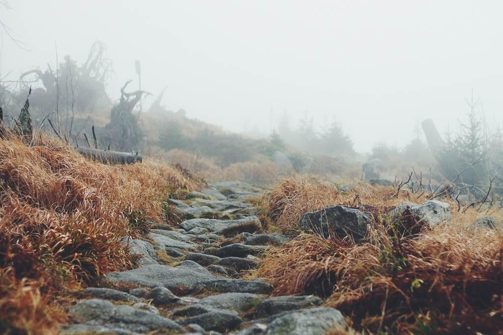 Chemin de pierres