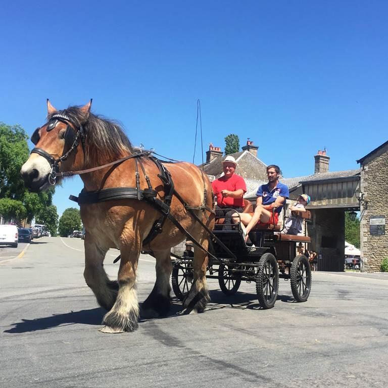 Escapades en Calèche de la Ferme du Lion d'Or