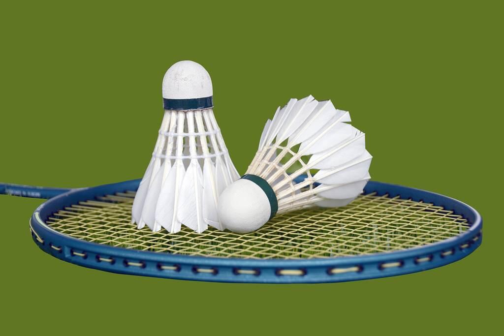 Badminton