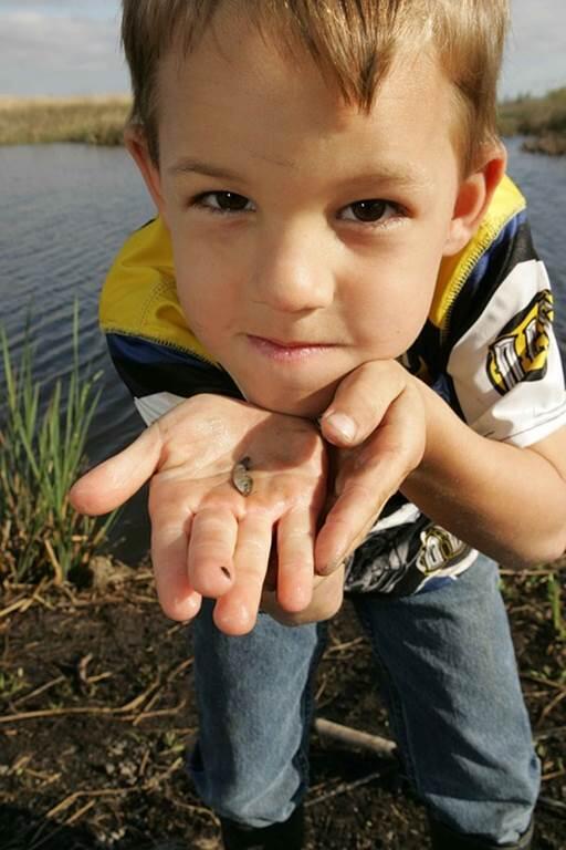 peche