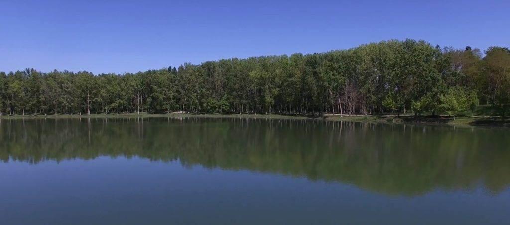 Lac de Monestié