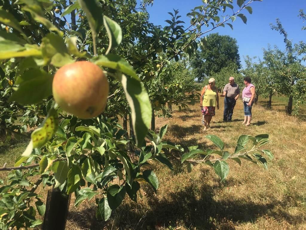 Visite de la Cidrerie de Warnécourt