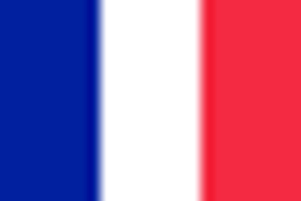 Défilé du 11 Novembre