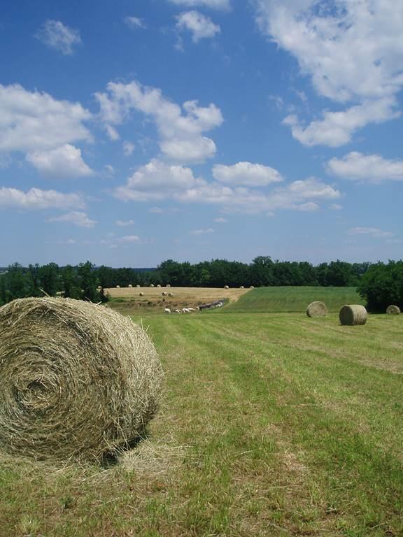 Fête des moissons à l'ancienne