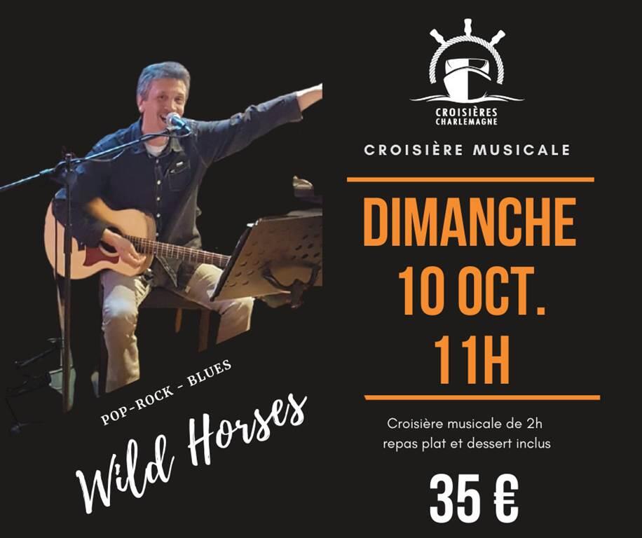WILD HORSES