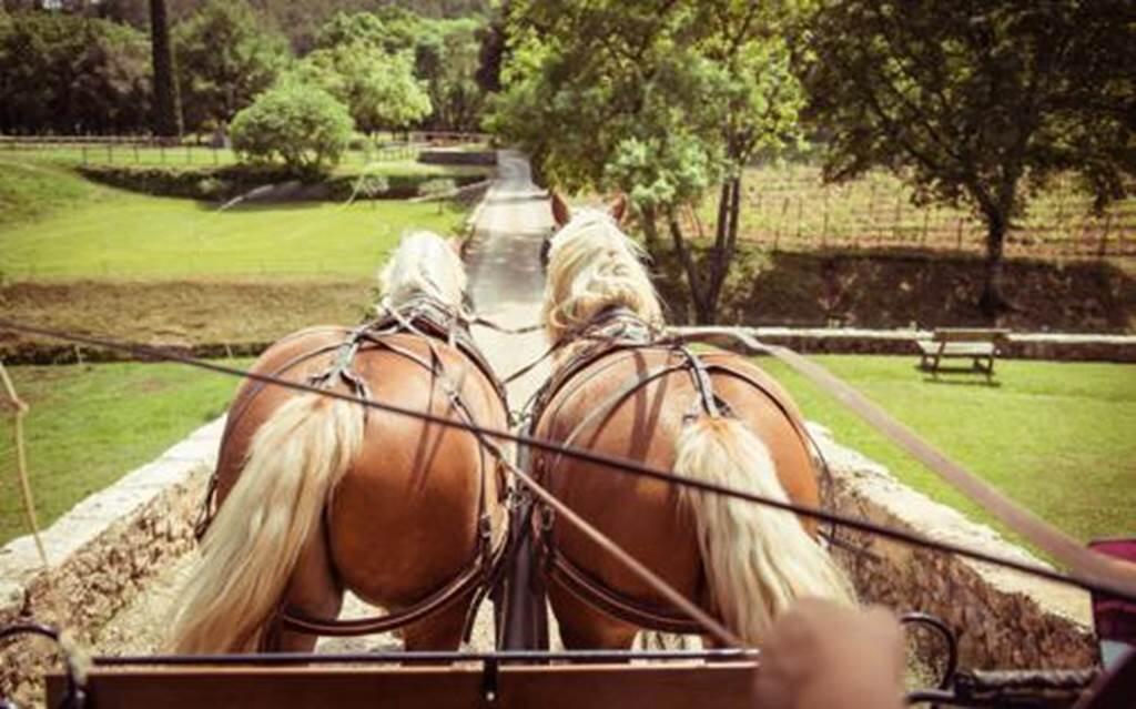 Les cavaliers-Meneurs-randonneurs du quercy-Vert