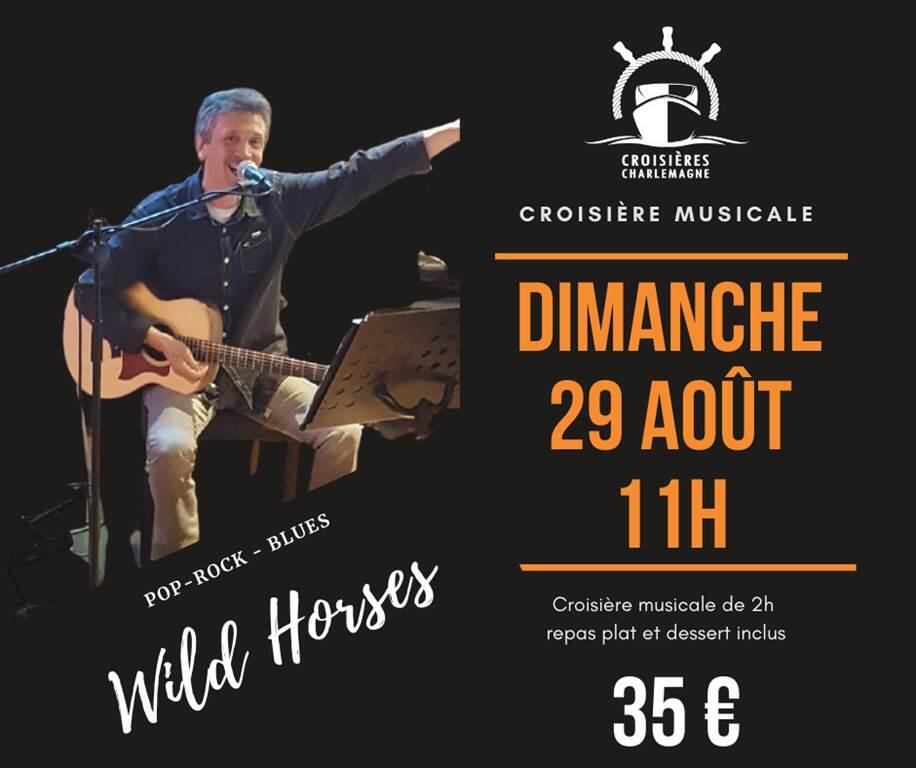 Wild Horses